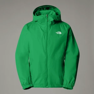 The North Face Męska Pakowalna Kurtka New Peak Optic Emerald Rozmiar S male