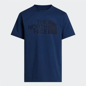 The North Face Męski T-shirt Evolution Half Dome Shady Blue-tonal Rozmiar S male