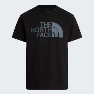 The North Face Męski T-shirt Evolution Half Dome Tnf Black-tonal Rozmiar S male