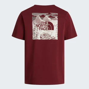 The North Face Męski T-shirt O Regularnym Kroju Nse Box Celebration Sumac Rozmiar S male