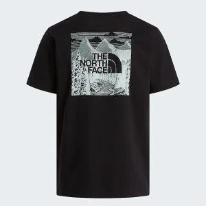 The North Face Męski T-shirt O Regularnym Kroju Nse Box Celebration Tnf Black Rozmiar M male