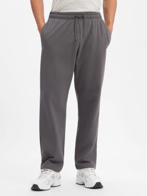 The North Face Męskie spodnie do biegania Mężczyźni Bawełna (100%) szary,
