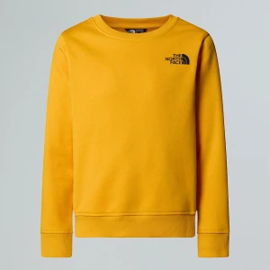 The North Face Młodzieżowa Bluza Nse Box Summit Gold Rozmiar M male