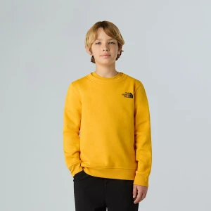The North Face Młodzieżowa Bluza Redbox Summit Gold Rozmiar L male