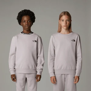 The North Face Młodzieżowa Bluza Simple Dome Moonstone Grey Rozmiar L male