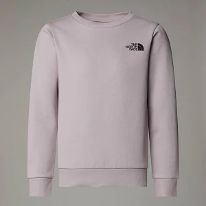 The North Face Młodzieżowa Bluza Simple Dome Moonstone Grey Rozmiar L male