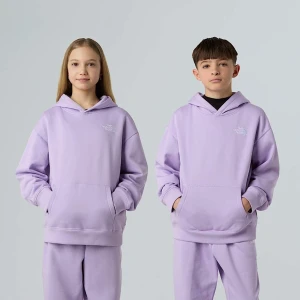 The North Face Młodzieżowa Bluza Z Kapturem O Kroju Oversize Essential Lite Lilac Rozmiar XS male