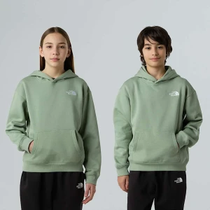 The North Face Młodzieżowa Bluza Z Kapturem O Kroju Oversize Essential Slate Moss Rozmiar S male