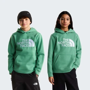 The North Face Młodzieżowa Bluza Z Kapturem Tnf™ Essential Drew Peak Dimmed Algae Rozmiar XXL male