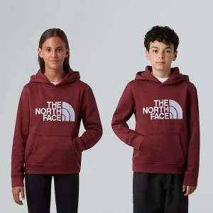 The North Face Młodzieżowa Bluza Z Kapturem Wkładana Przez Głowę Drew Peak Sumac Rozmiar S male