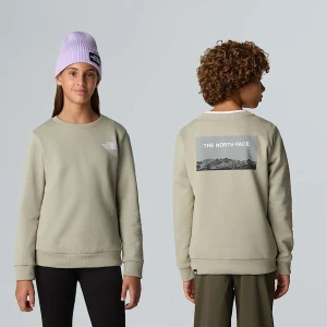 The North Face Młodzieżowa Bluza Z Okrągłym Dekoltem Clay Grey Rozmiar XXL male