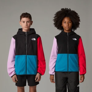 The North Face Młodzieżowa Kurtka Polarowa Z Kapturem Glacier Digital Steel Rozmiar L male