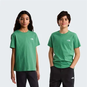 The North Face Młodzieżowy T-shirt Evolution Simple Dome Dimmed Algae Rozmiar S male
