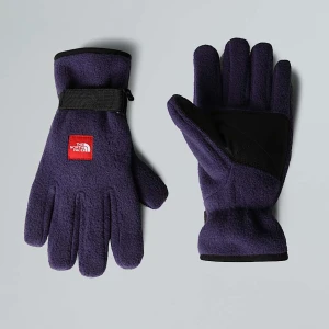 The North Face Rękawice Polarowe Red Box Eternal Purple Rozmiar M male