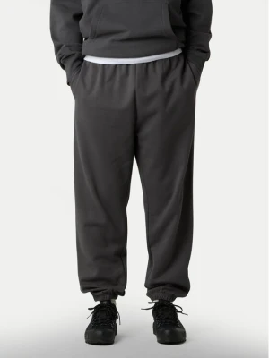 The North Face Spodnie dresowe Expedition Celebration NF0A8E3E Szary Relaxed Fit