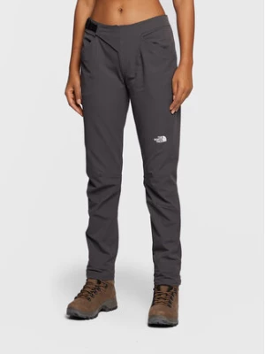 The North Face Spodnie outdoor W Ao Winter NF0A7Z8B Szary Regular Fit