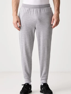 The North Face spodnie treningowe męskie PERFORMANCE szary