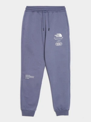 The North Face Spodnie W Location Graphic Pant