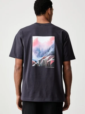 The North Face T-shirt męski bawełniany Redbox szary