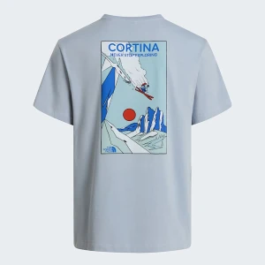 The North Face T-shirt Z Grafiką O Regularnym Kroju Unisex Mountain Celebration Frost Grey Rozmiar XXL male