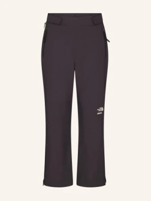 The North Face X Skims Spodnie Narciarskie Z Twardą Powłoką Tnf X Project K braun