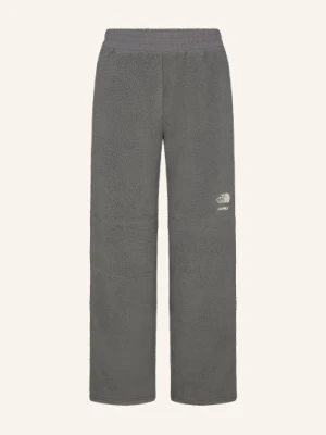 The North Face X Skims Spodnie Polarowe Tnf X Project K 1995 Retro Denali grau