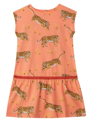 THE STRIPED CAT Sukienka w kolorze pomarańczowo-jasnobrązowym rozmiar: 146/152