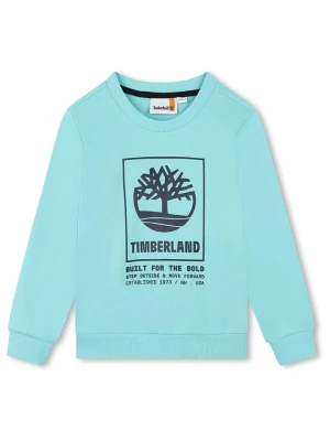 Timberland Bluza w kolorze błękitnym rozmiar: 128