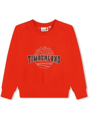 Timberland Bluza w kolorze czerwonym rozmiar: 140