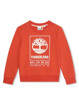 Timberland Bluza w kolorze czerwonym rozmiar: 152