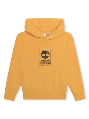 Timberland Bluza w kolorze musztardowym rozmiar: 176