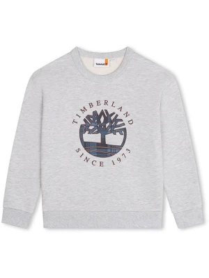 Timberland Bluza w kolorze szarym rozmiar: 128