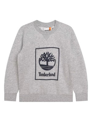 Timberland Bluza w kolorze szarym rozmiar: 176