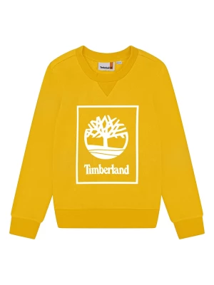 Timberland Bluza w kolorze żółtym rozmiar: 176