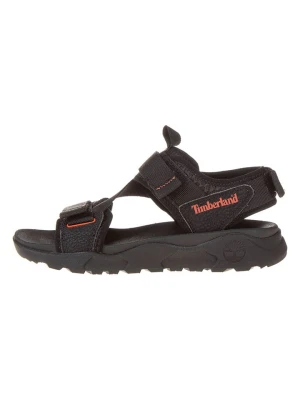 Timberland Sandały trekkingowe "Ripcord" w kolorze czarnym rozmiar: 43