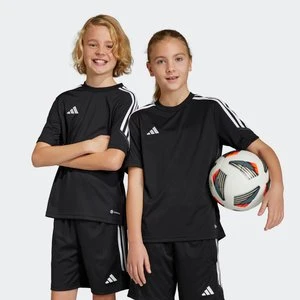 Tiro 23 Club Training Jersey Adidas