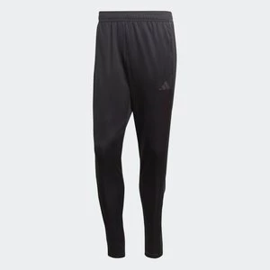 Tiro 23 League Pants Adidas