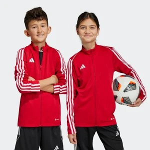 Tiro 23 League Training Jacket Adidas