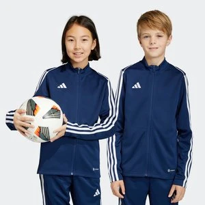 Tiro 23 League Training Jacket Adidas