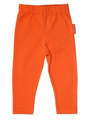 Toby Tiger Legginsy w kolorze pomarańczowym rozmiar: 104