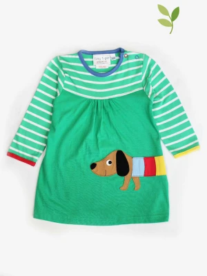 Toby Tiger Sukienka "Multi Sausage Dog" w kolorze zielonym rozmiar: 80