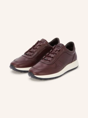 Tod's Sneakersy braun CIEMNOBRĄZOWY