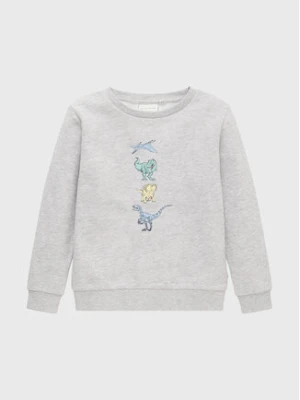 Tom Tailor Bluza 1033094 Szary Regular Fit