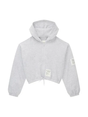 Tom Tailor Bluza 1035162 Szary