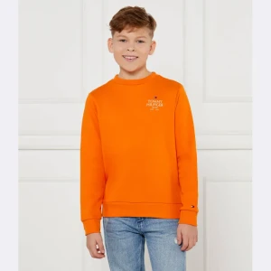 Tommy Hilfiger Bluza | Regular Fit
