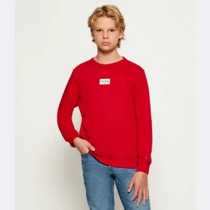 Tommy Hilfiger Bluza | Regular Fit