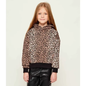 Tommy Hilfiger Bluza | Regular Fit