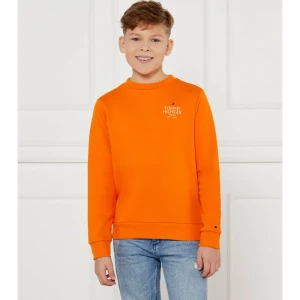 Tommy Hilfiger Bluza | Regular Fit