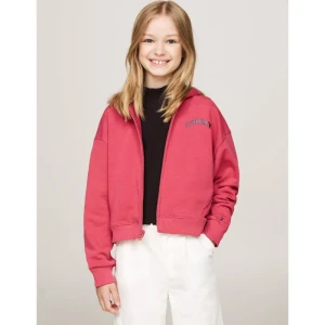 Tommy Hilfiger Bluza | Regular Fit