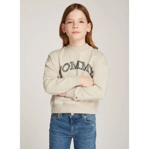 Tommy Hilfiger Bluza | Regular Fit